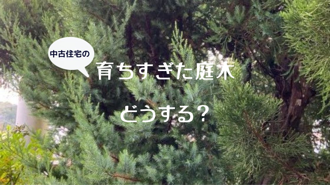 育ちすぎた庭木を自分で伐採する方法